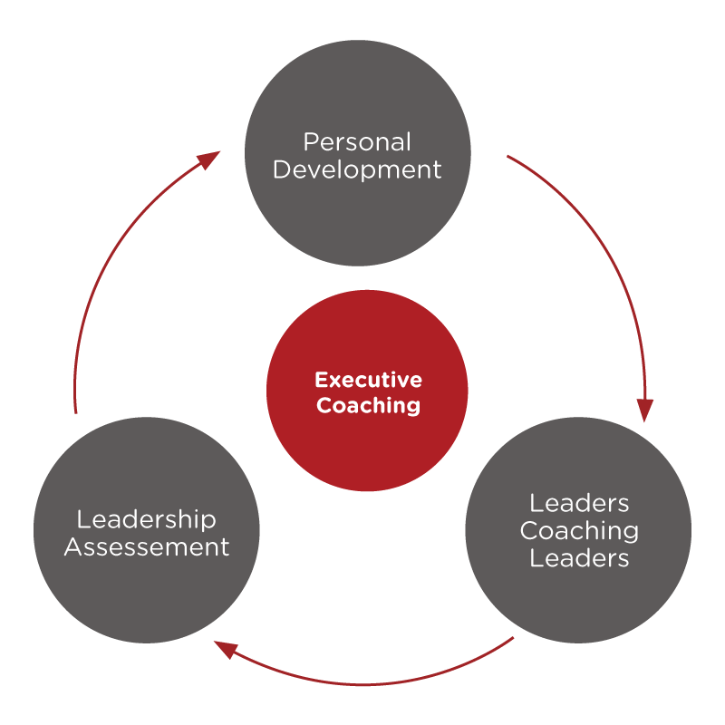 Executive-Coaching